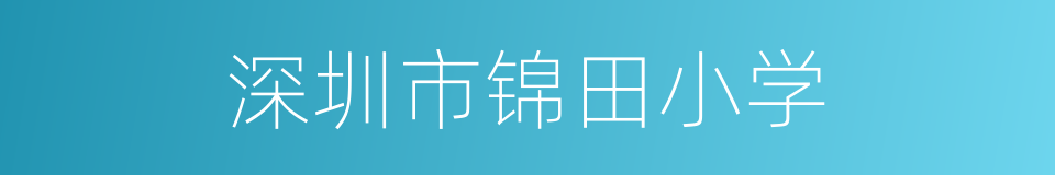 深圳市锦田小学的同义词