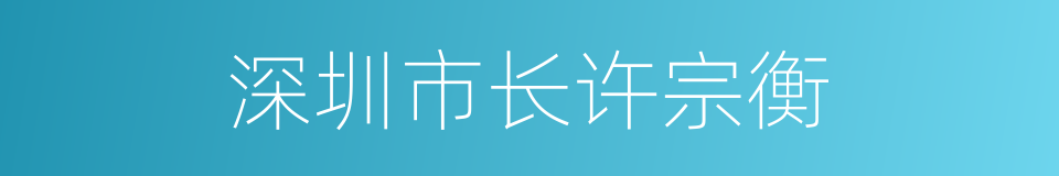 深圳市长许宗衡的同义词