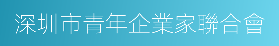 深圳市青年企業家聯合會的同義詞