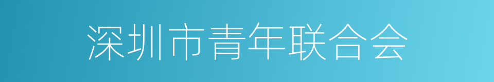 深圳市青年联合会的同义词