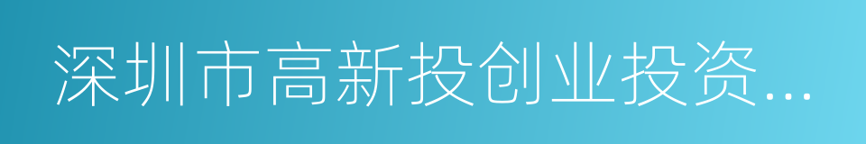 深圳市高新投创业投资有限公司的同义词