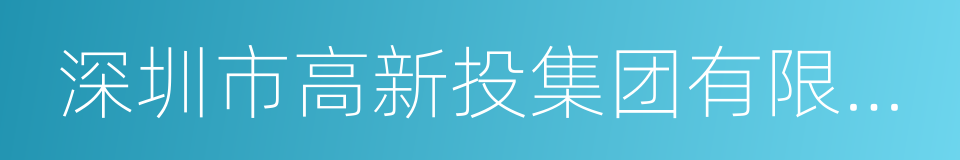 深圳市高新投集团有限公司的同义词