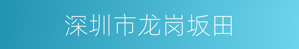 深圳市龙岗坂田的同义词