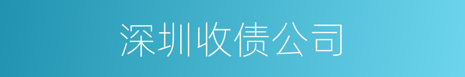 深圳收债公司的同义词