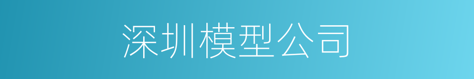 深圳模型公司的同义词