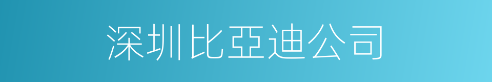 深圳比亞迪公司的同義詞