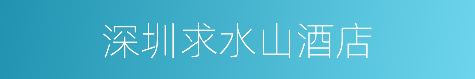 深圳求水山酒店的同义词