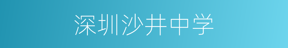 深圳沙井中学的同义词