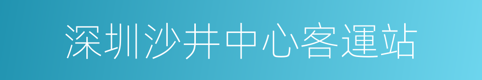 深圳沙井中心客運站的同義詞