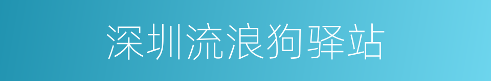 深圳流浪狗驿站的同义词