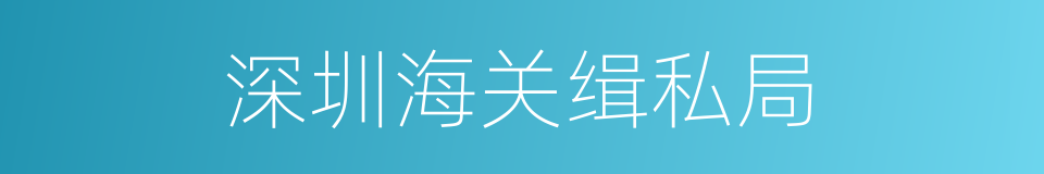 深圳海关缉私局的同义词