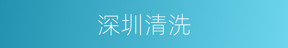 深圳清洗的同义词