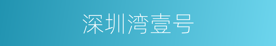 深圳湾壹号的同义词