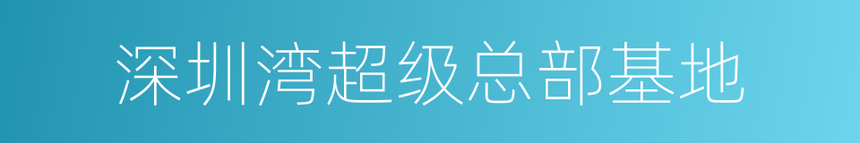 深圳湾超级总部基地的同义词