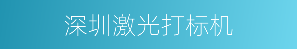 深圳激光打标机的同义词