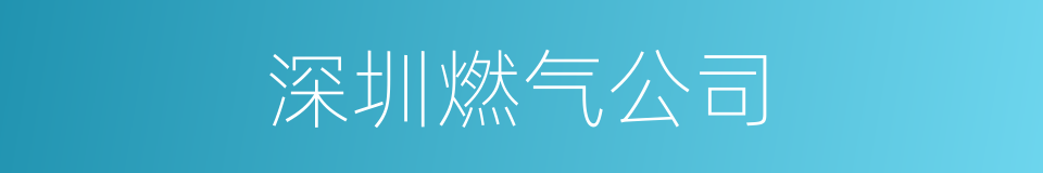 深圳燃气公司的同义词