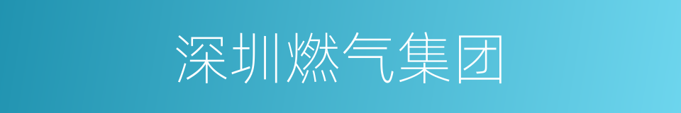 深圳燃气集团的同义词