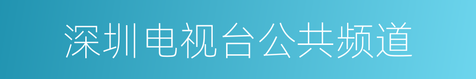 深圳电视台公共频道的同义词