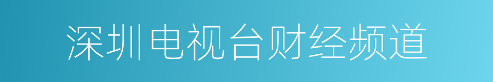 深圳电视台财经频道的同义词