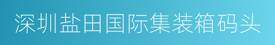 深圳盐田国际集装箱码头的同义词