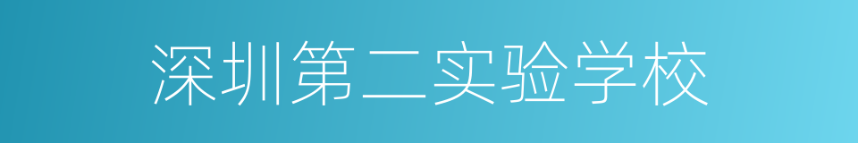深圳第二实验学校的同义词