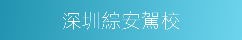 深圳綜安駕校的同義詞