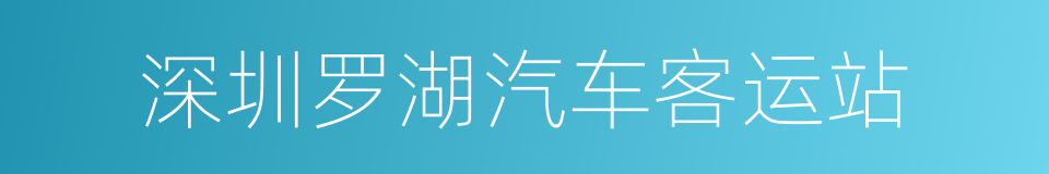 深圳罗湖汽车客运站的意思