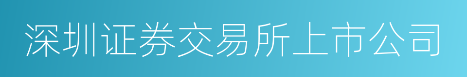 深圳证券交易所上市公司的同义词