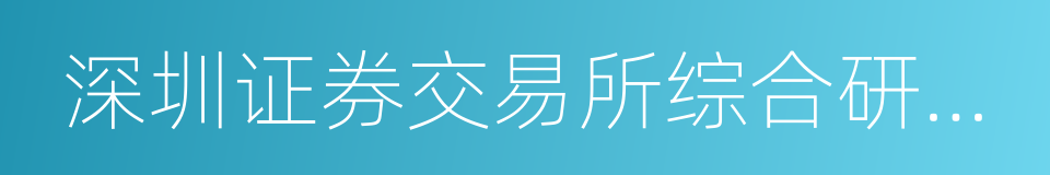 深圳证券交易所综合研究所的同义词