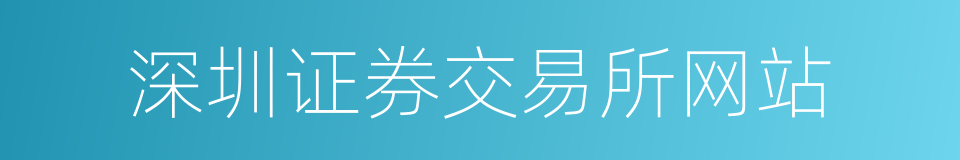 深圳证券交易所网站的同义词