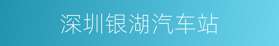深圳银湖汽车站的同义词