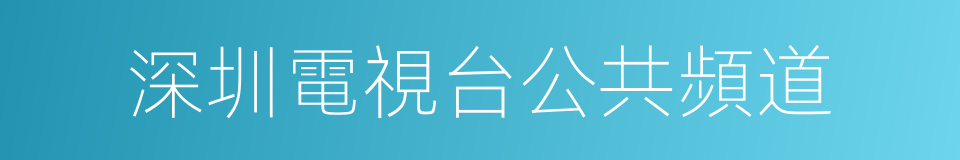 深圳電視台公共頻道的同義詞