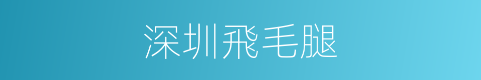 深圳飛毛腿的同義詞