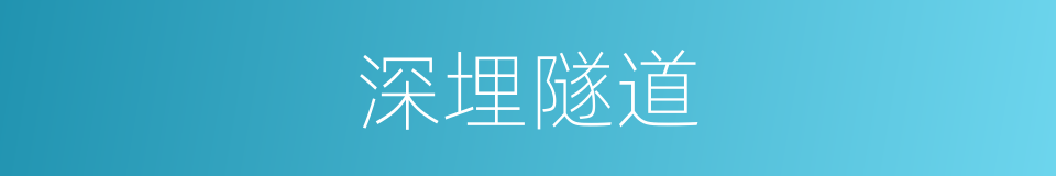 深埋隧道的同义词