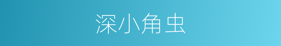 深小角虫的同义词