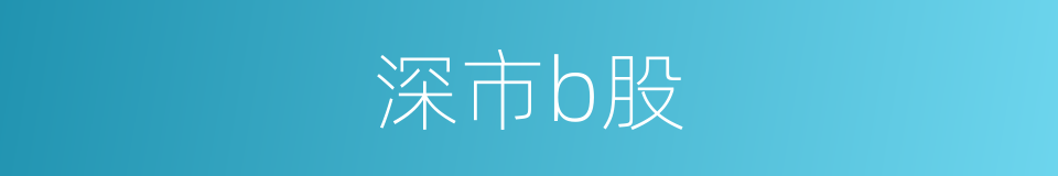 深市b股的同义词