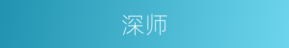 深师的同义词