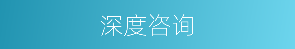 深度咨询的同义词