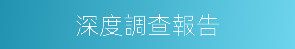 深度調查報告的同義詞