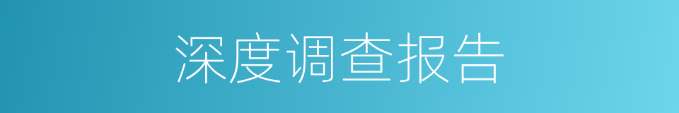 深度调查报告的同义词