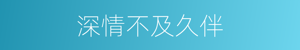 深情不及久伴的意思