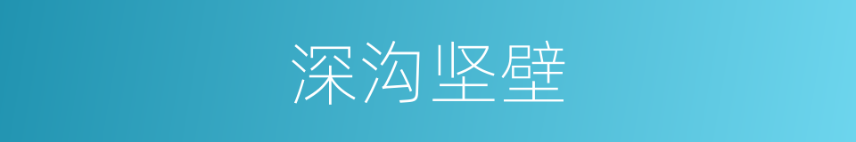 深沟坚壁的意思