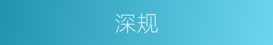深规的同义词