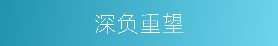 深负重望的意思