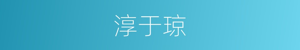 淳于琼的同义词