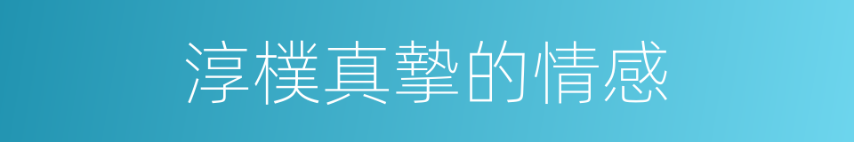 淳樸真摯的情感的同義詞