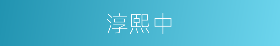 淳熙中的同义词