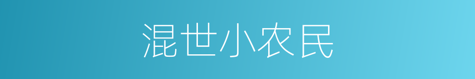 混世小农民的同义词