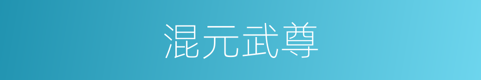 混元武尊的同义词