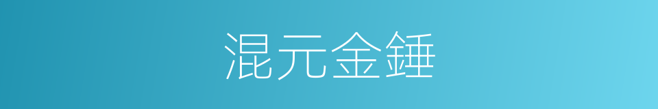 混元金錘的同義詞